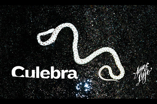 Culebra, proyecto seleccionado 5ª edición